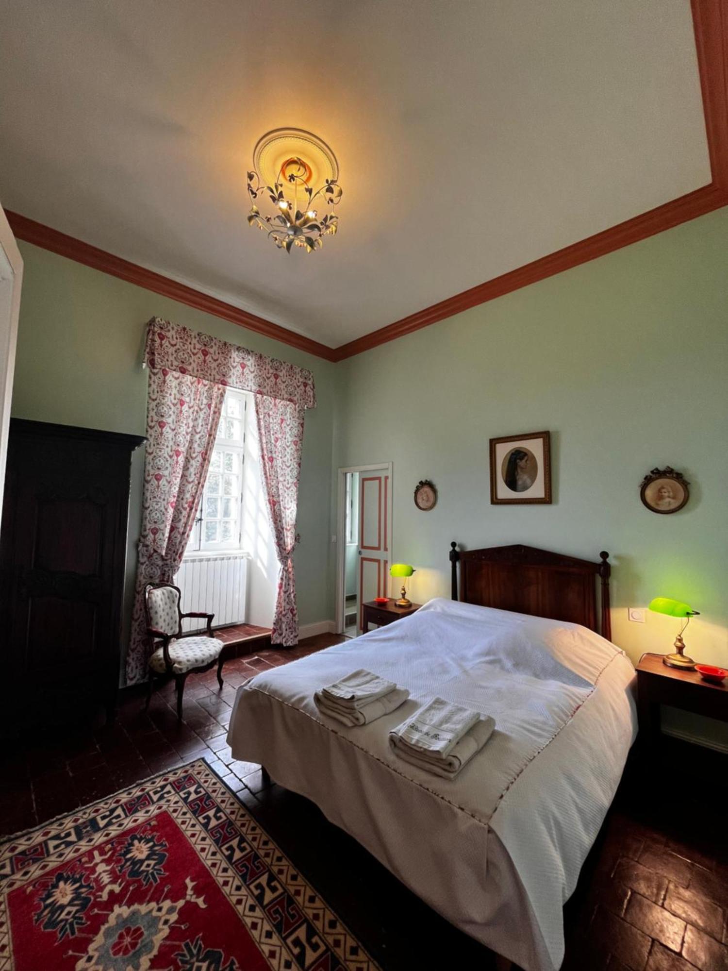 Chateau De Rousson 外观 照片