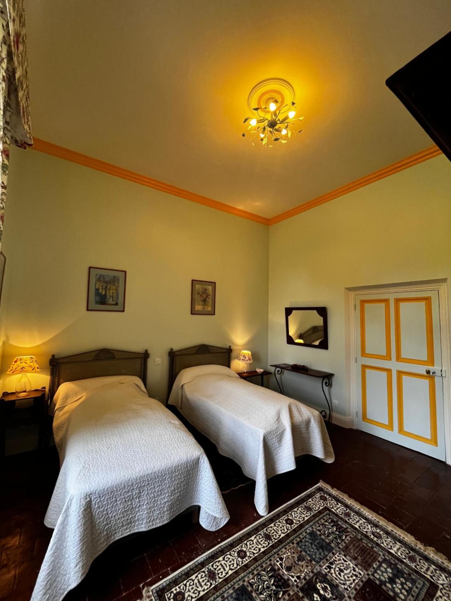 Chateau De Rousson 外观 照片